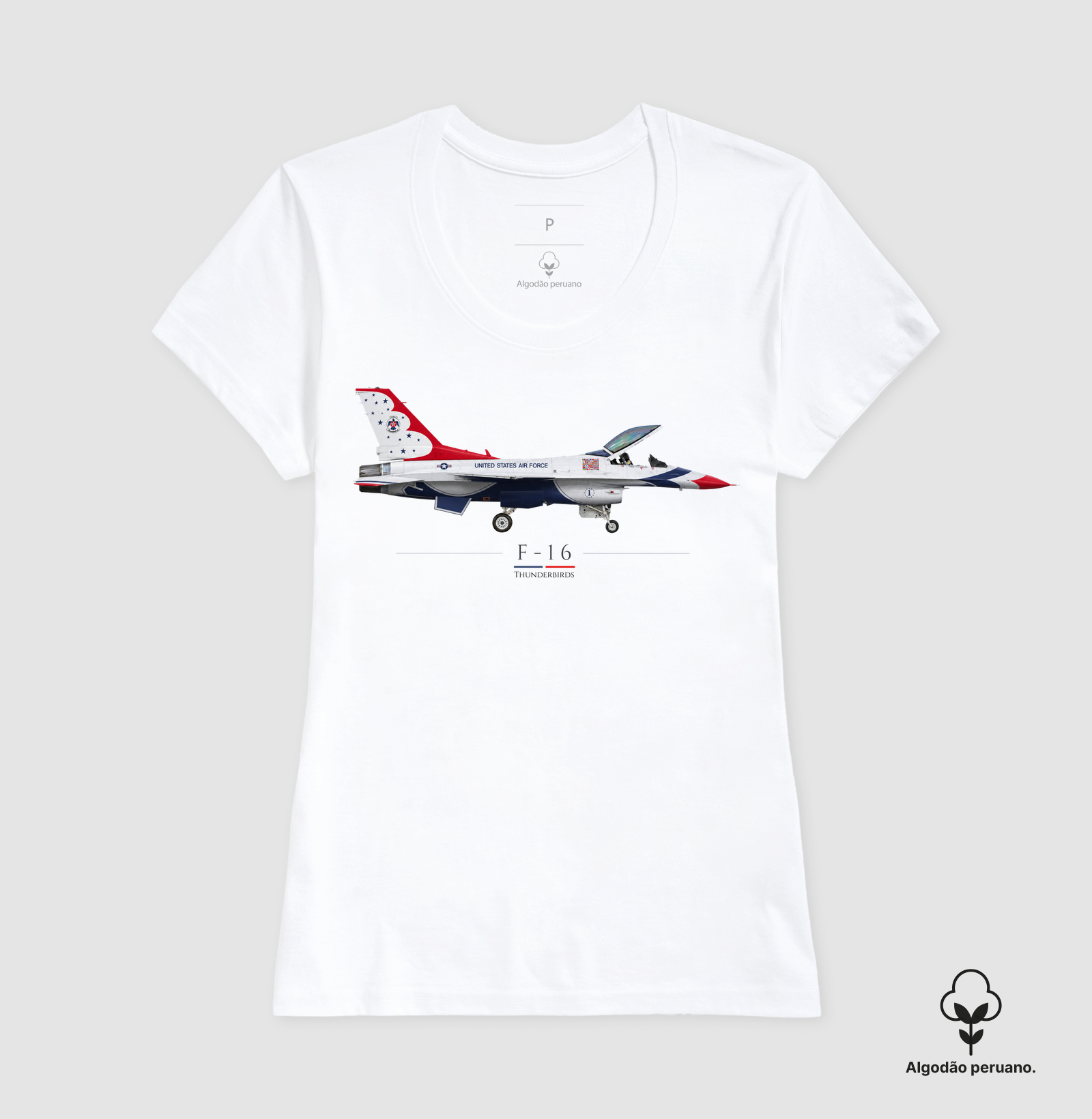 F-16 Thunderbirds | Profile - Imagem 5