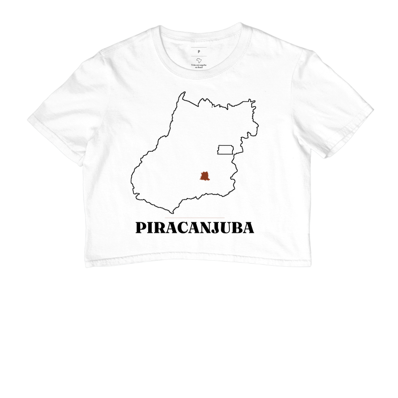 Piracanjuba | Traço GO - Imagem 3