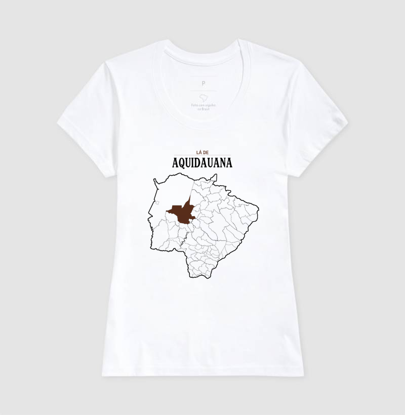 Aquidauana | Território MS - Imagem 5
