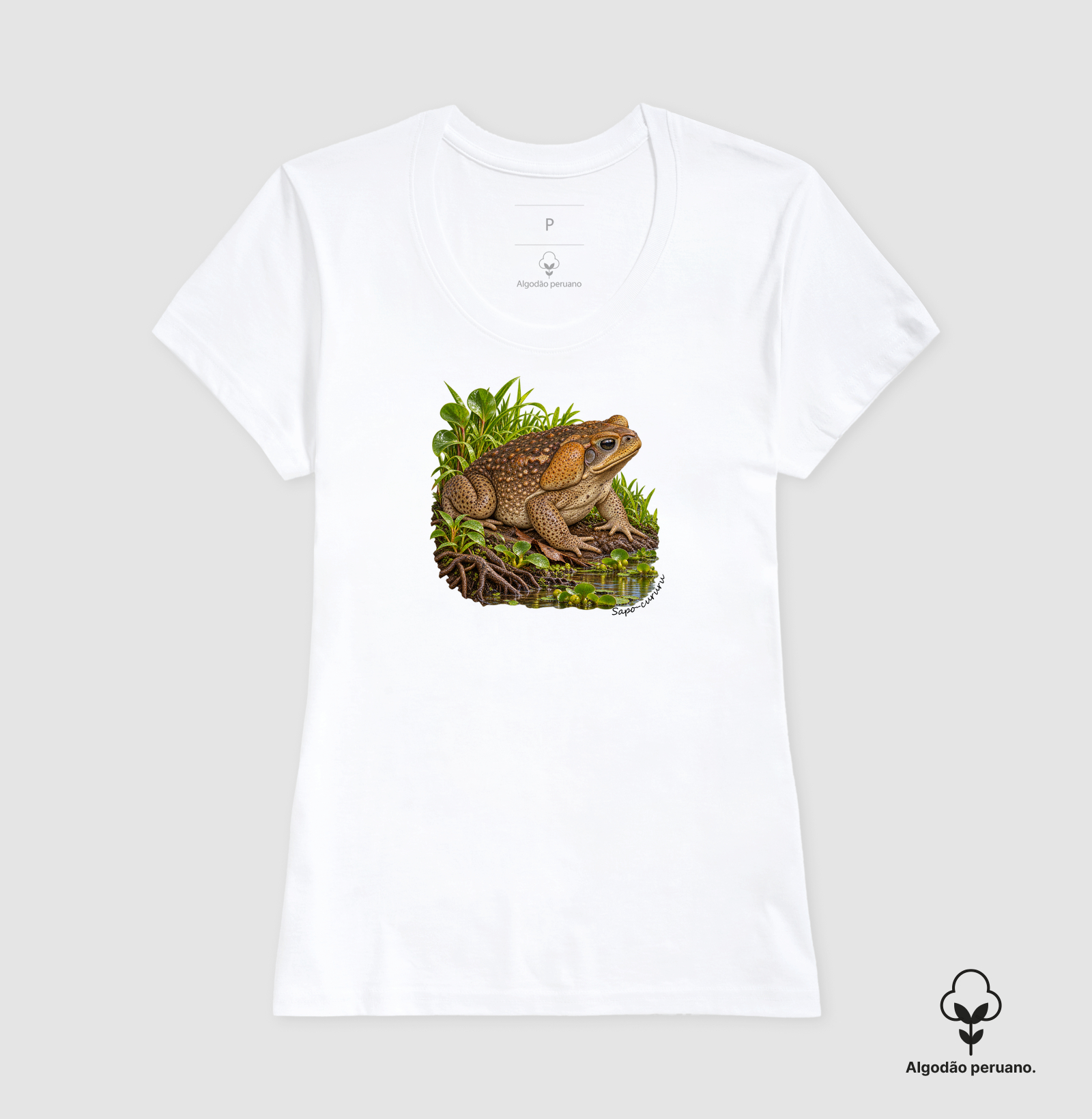 Sapo-cururu - Coleção Fauna Brasileira - Imagem 3