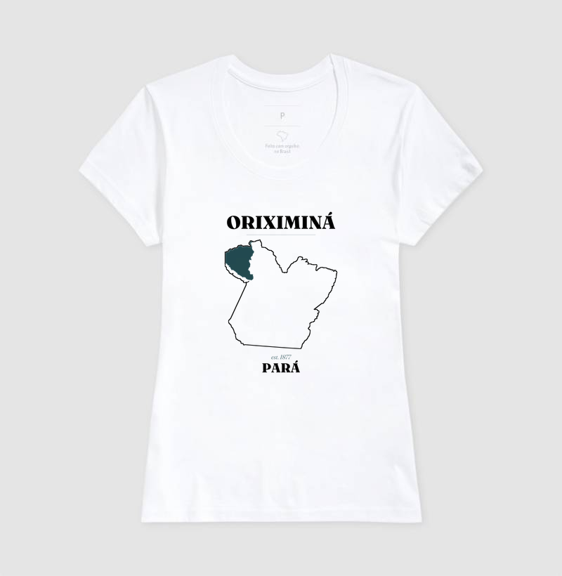 Oriximiná | Legado PA - Imagem 5