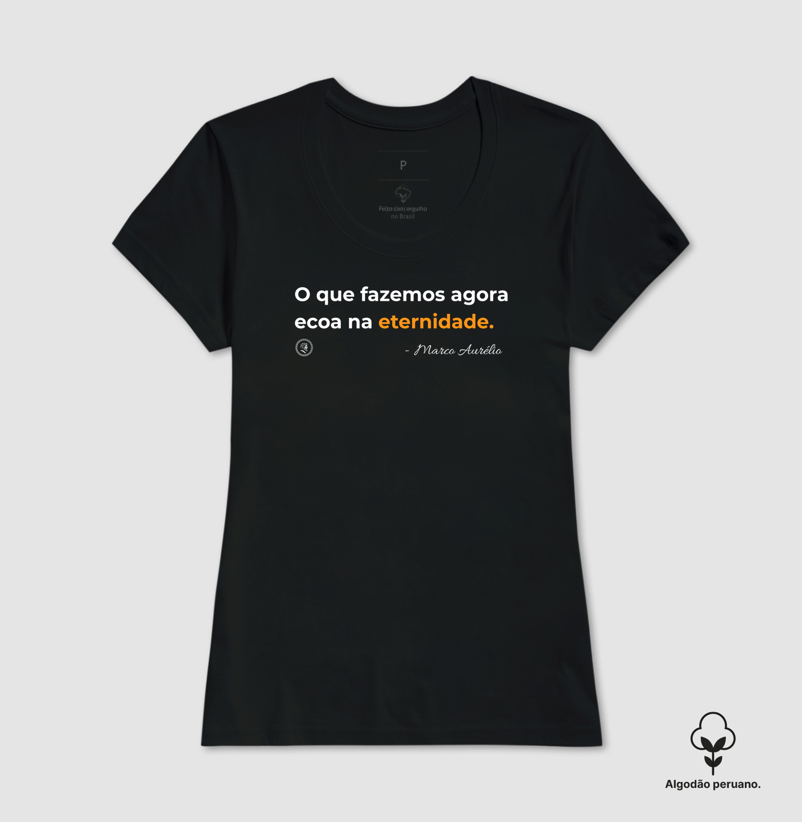 Estoicismo de Marco Aurélio "Ecoa na eternidade" - Imagem 8