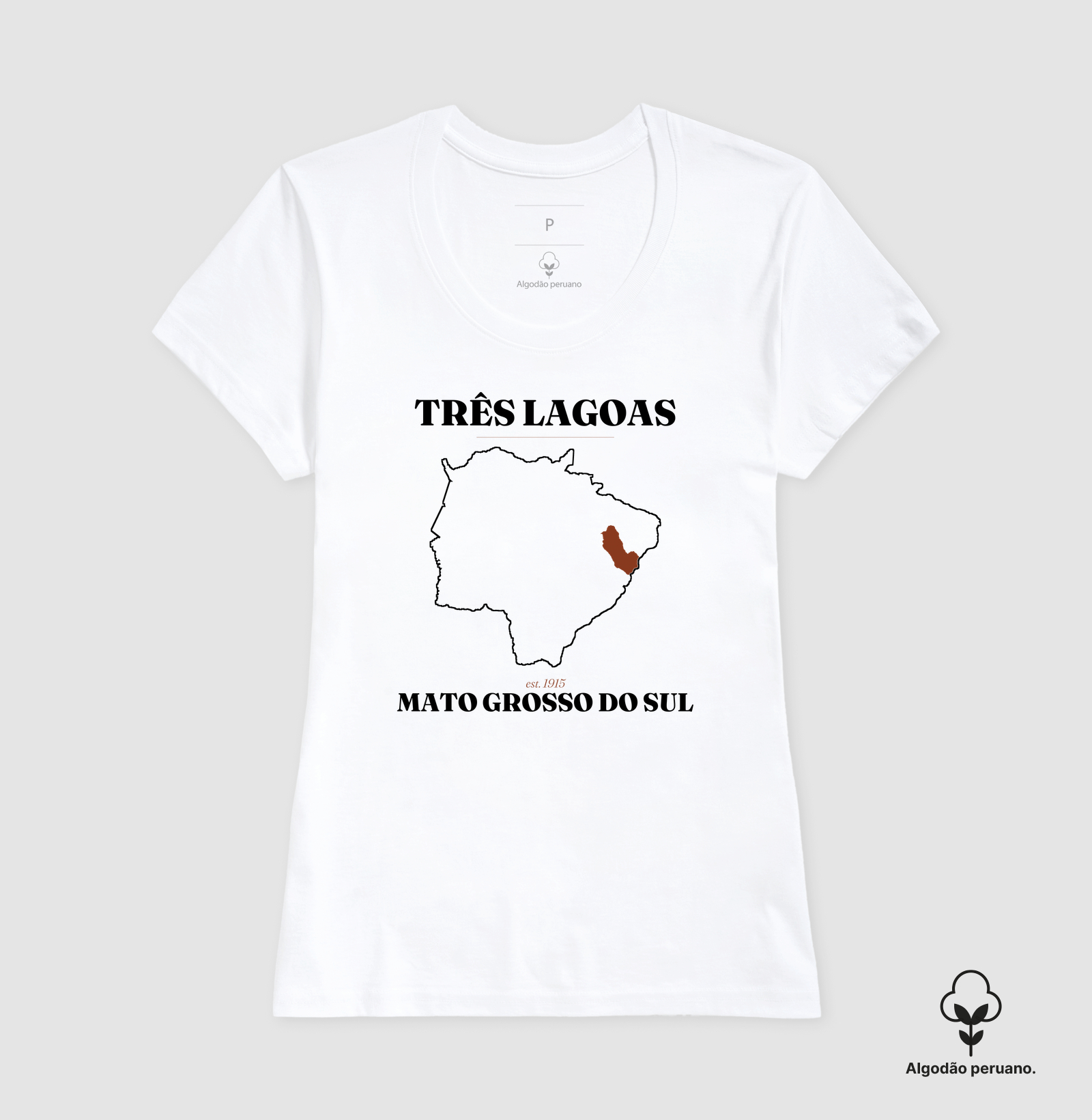Três Lagoas | Legado MS - Imagem 8
