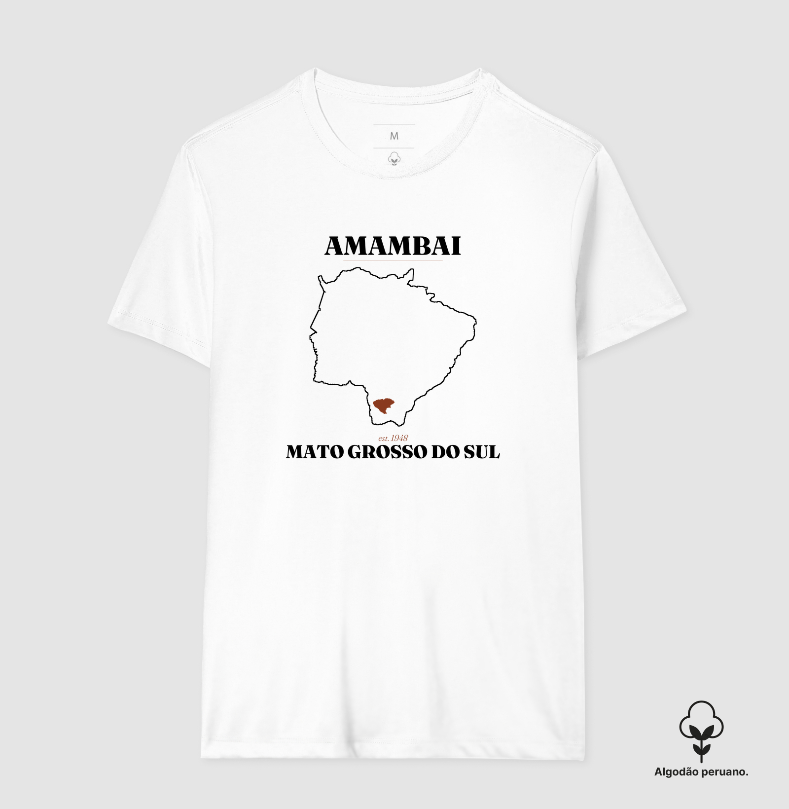 Amambai | Legado MS - Imagem 3