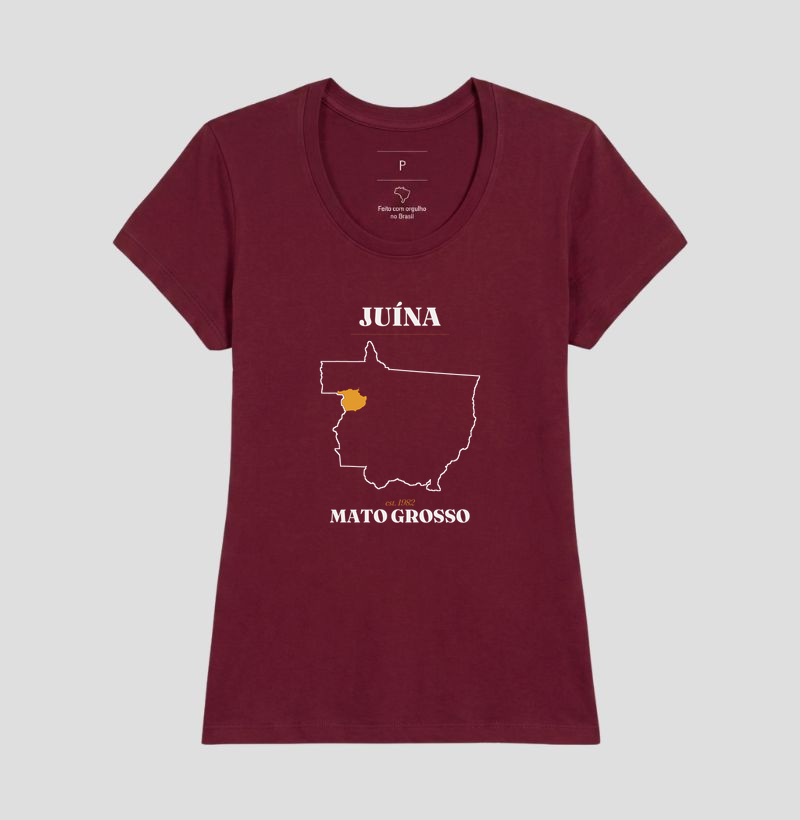 Juína | Legado MT - Imagem 19