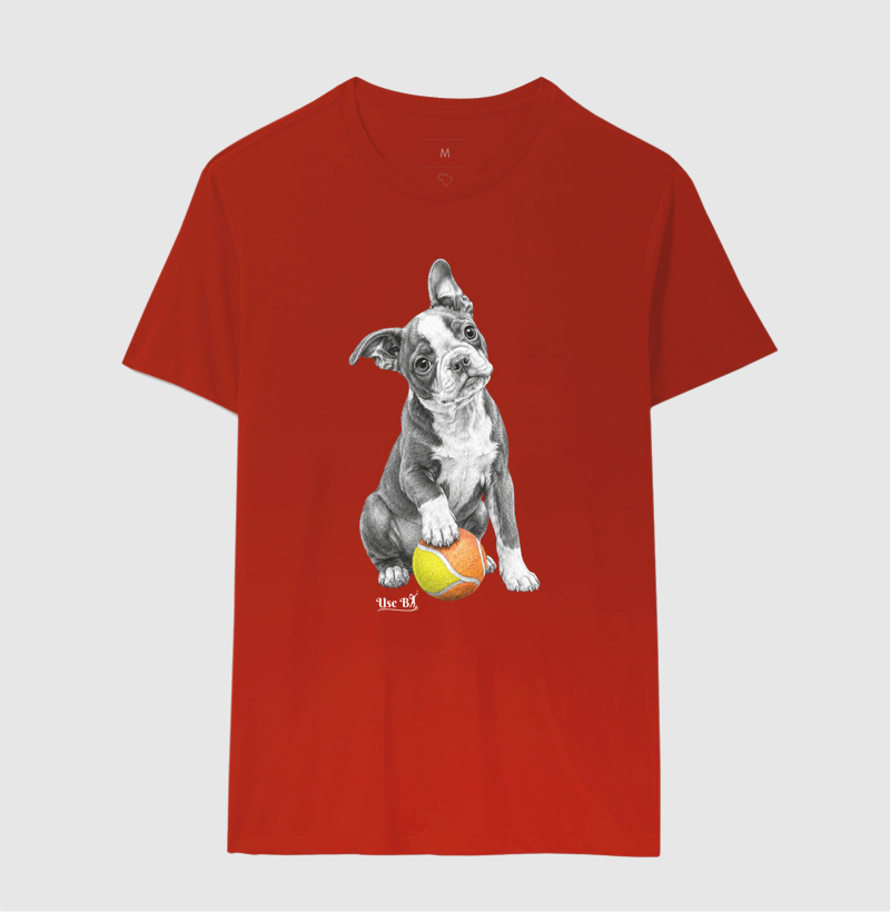 Boston Terrier do Beach - Imagem 10