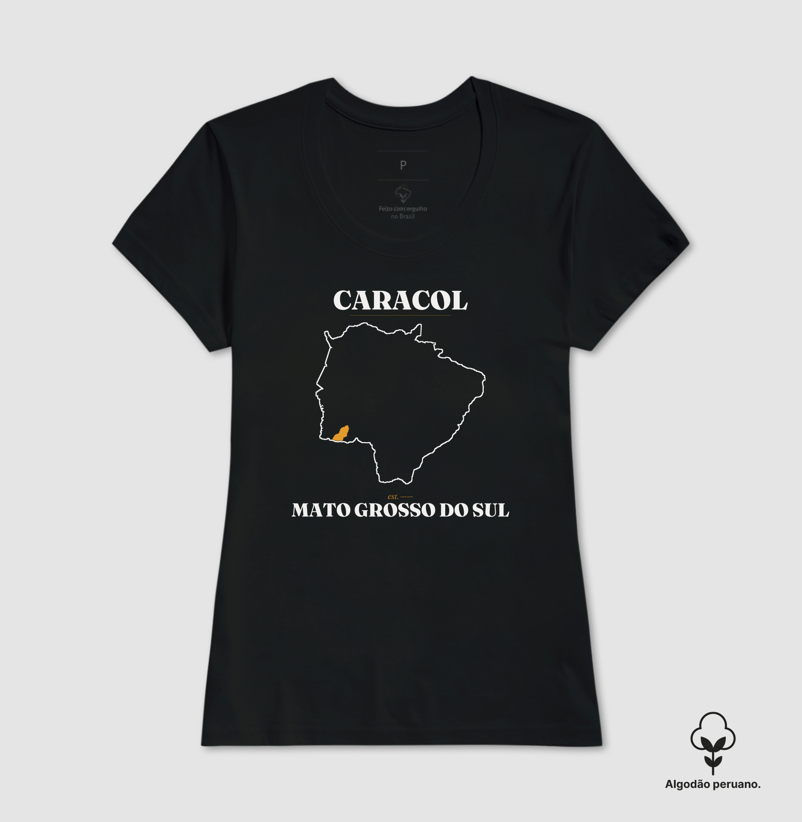 Caracol | Legado MS - Imagem 3