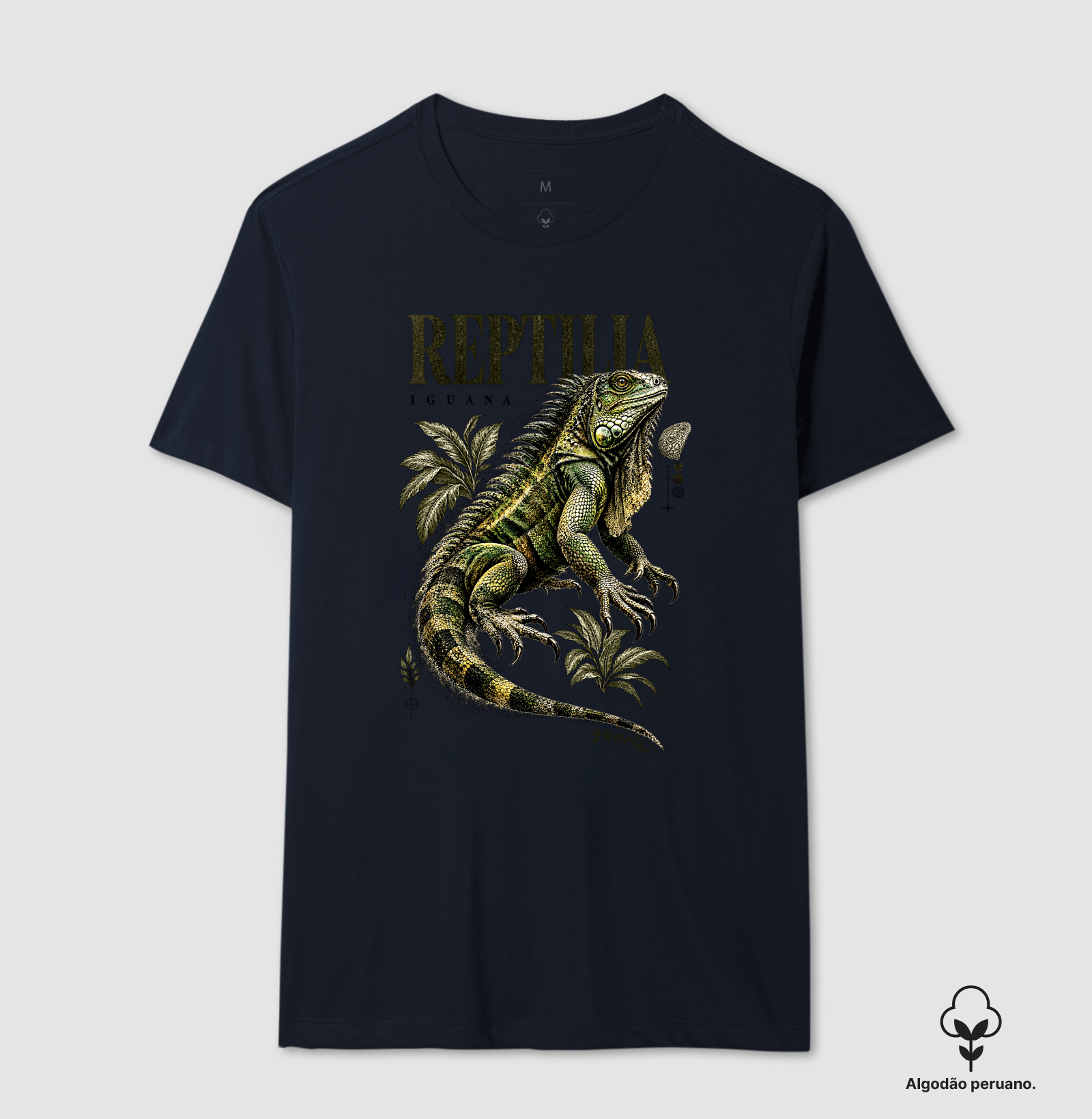 Iguana - Imagem 9