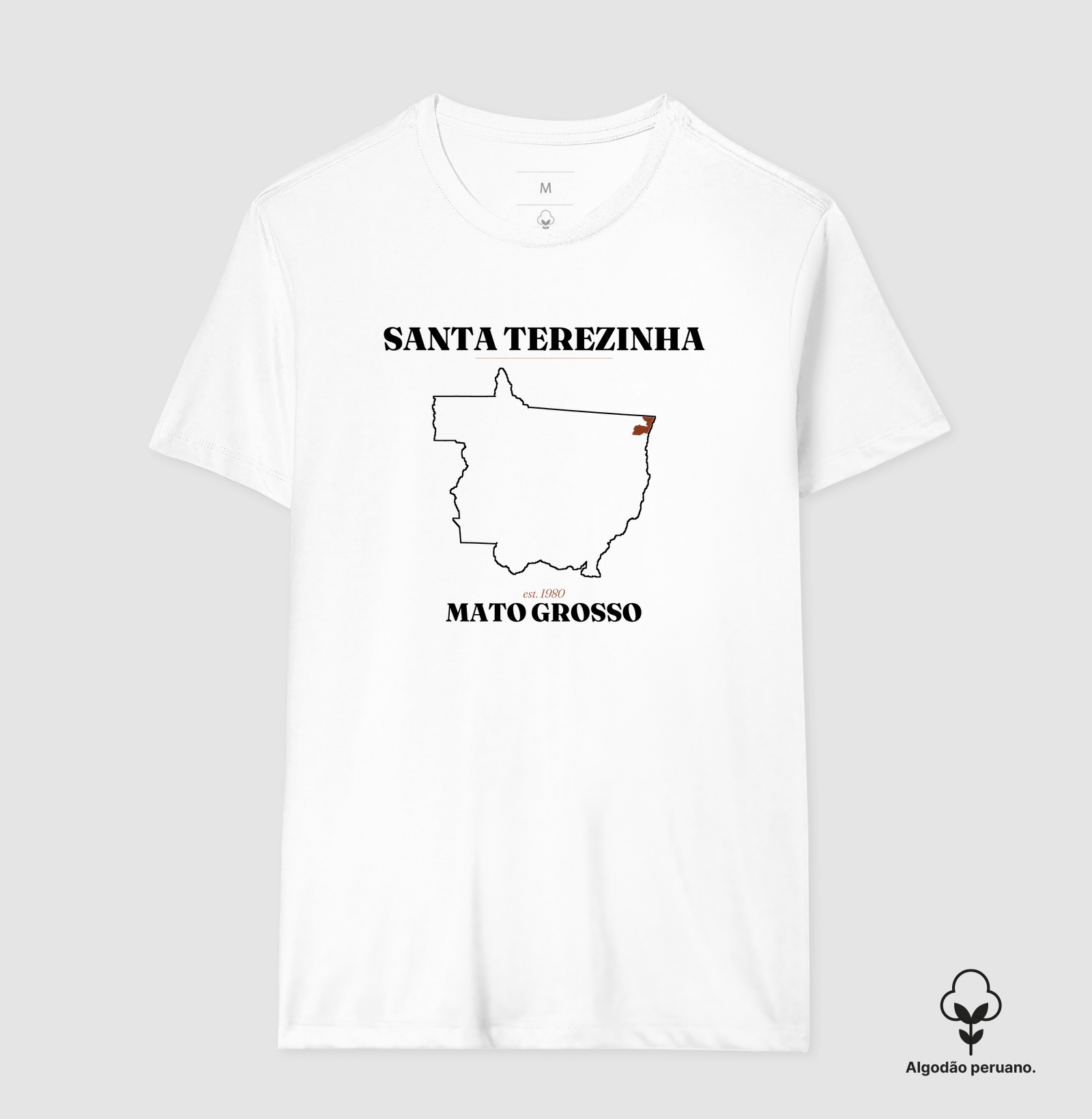 Santa Terezinha | Legado MT - Imagem 4
