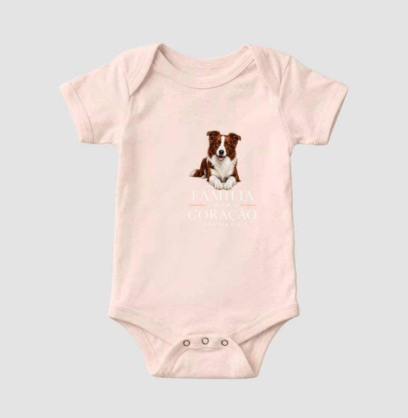 Border Collie Marrom - Família - Imagem 5