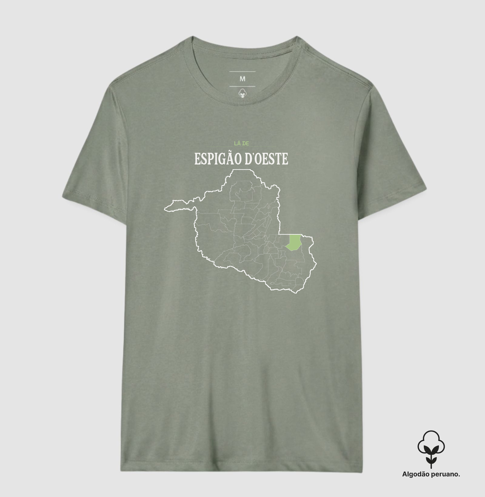 Espigão D'Oeste | Território RO - Imagem 9