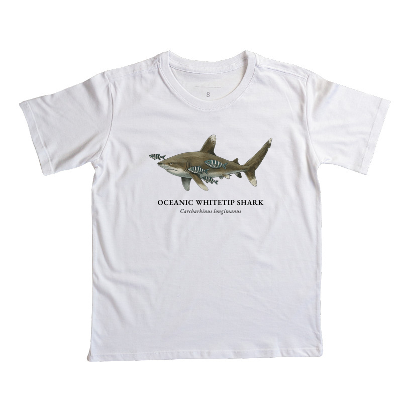 Oceanic Whitetip Shark - Imagem 5