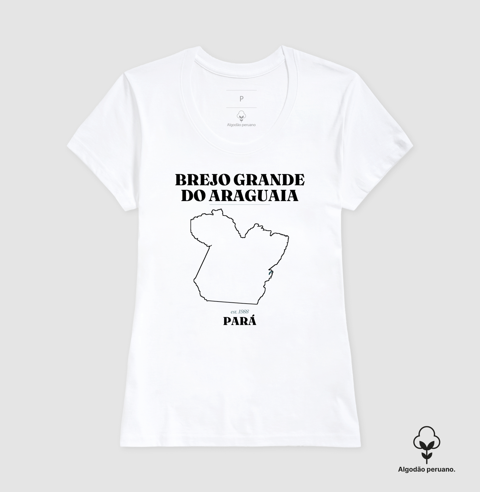 Brejo Grande do Araguaia | Legado PA - Imagem 4