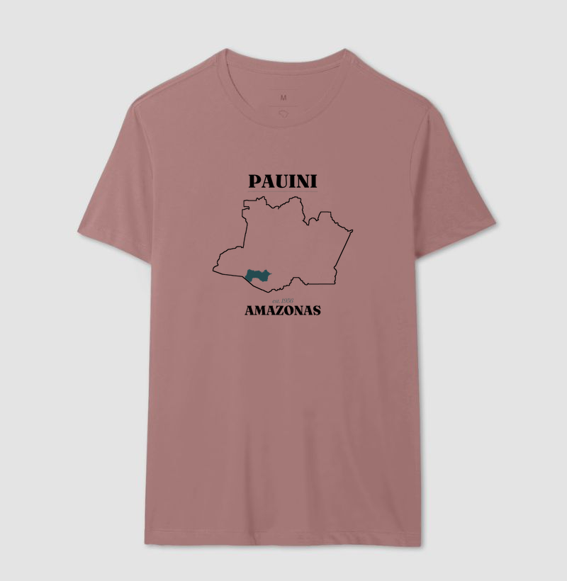 Pauini | Legado AM - Imagem 16