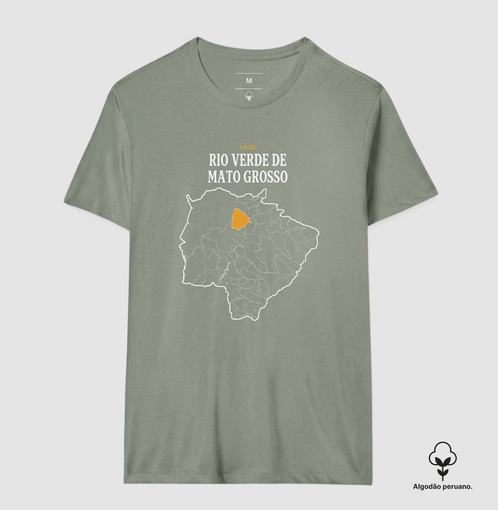 Rio Verde de Mato Grosso | Território MS - Imagem 9