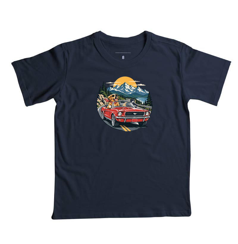 Road Trip - Imagem 5