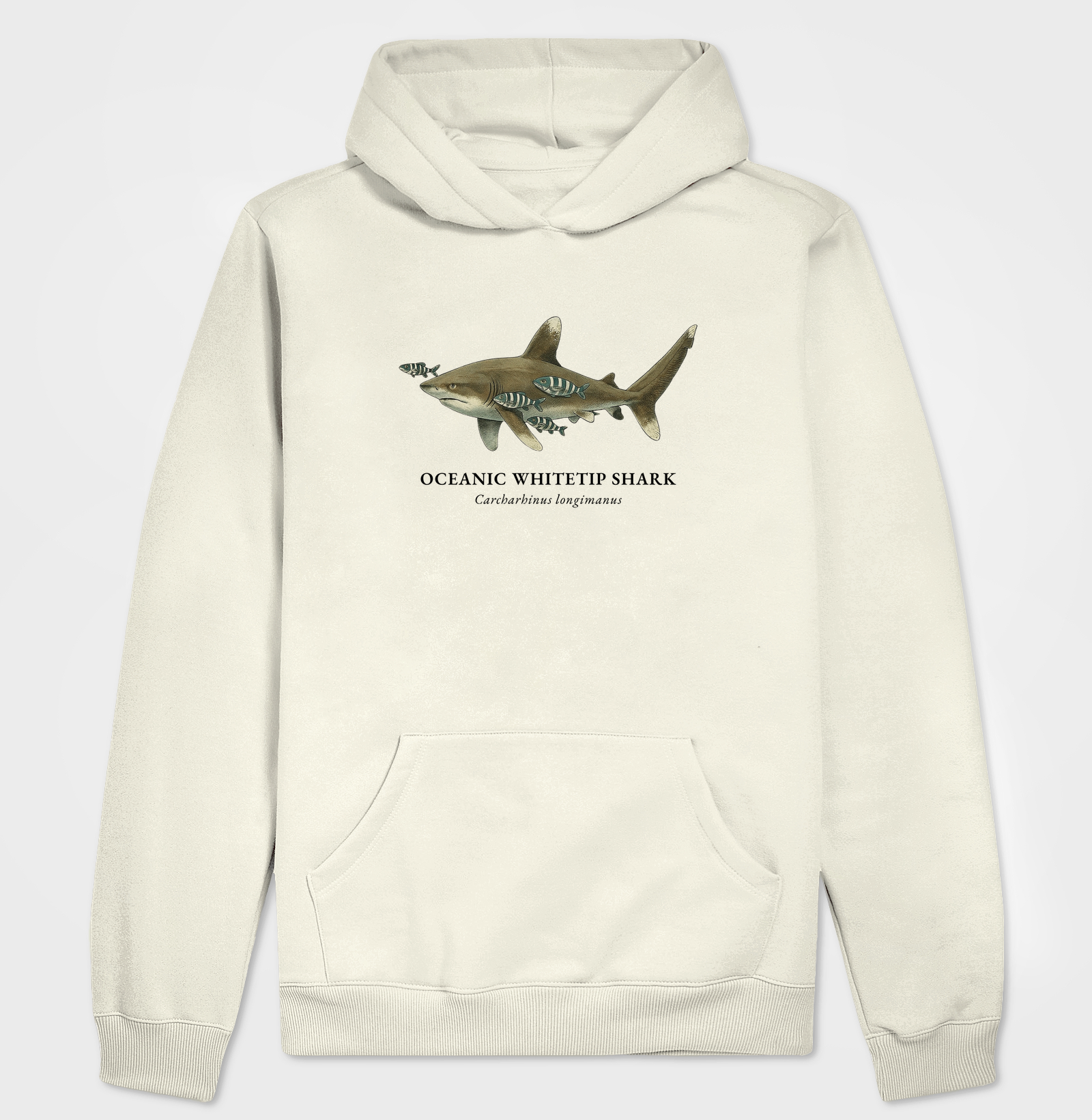 Oceanic Whitetip Shark - Imagem 5