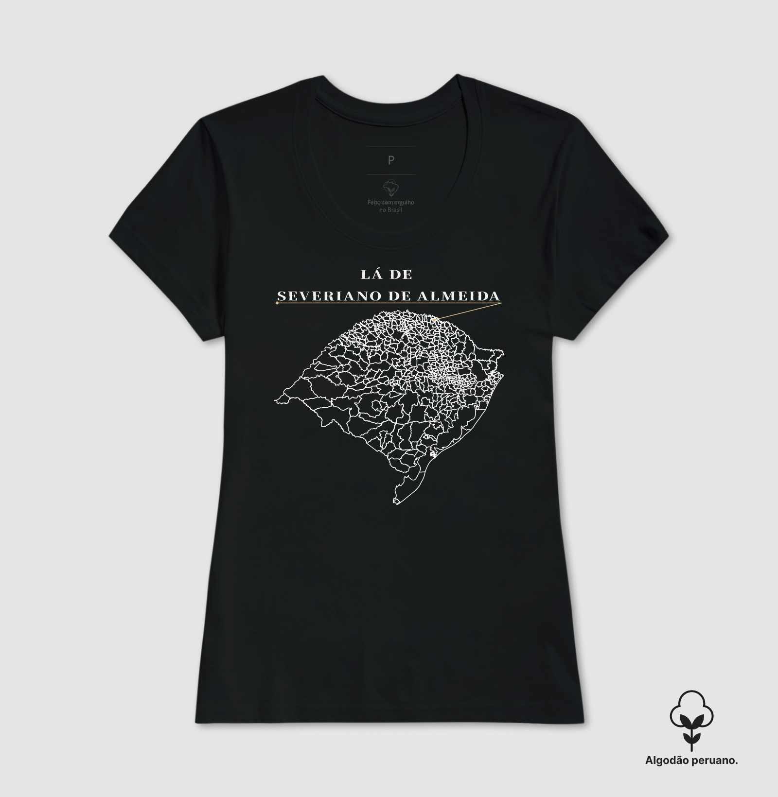 Severiano de Almeida | Origem RS - Imagem 5
