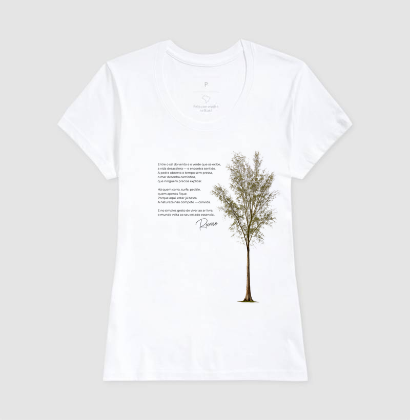 Casuarina - Imagem 5