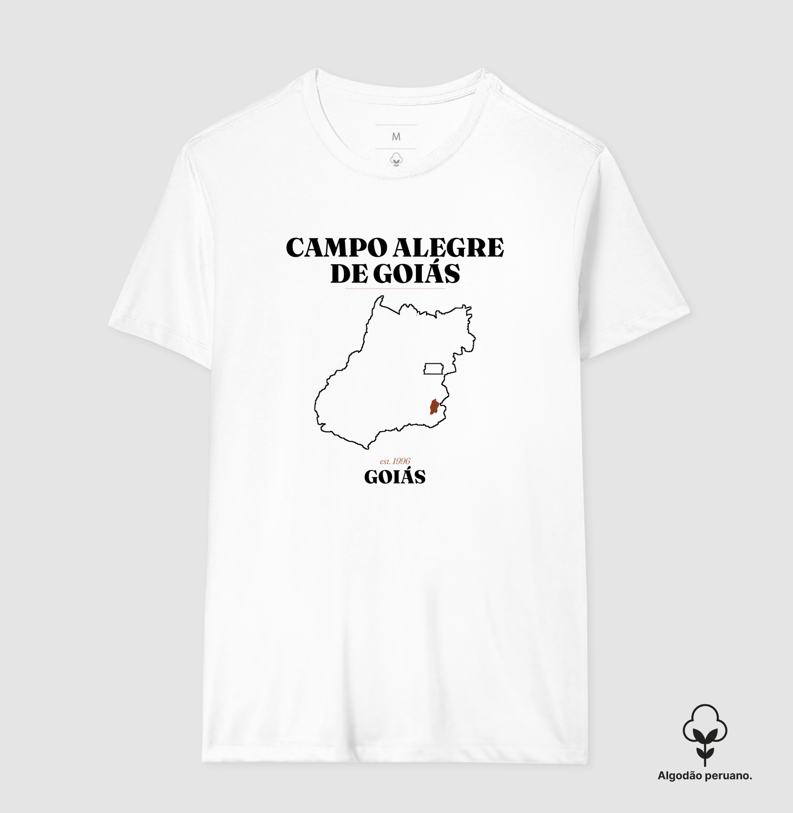 Campo Alegre de Goiás | Legado GO - Imagem 3