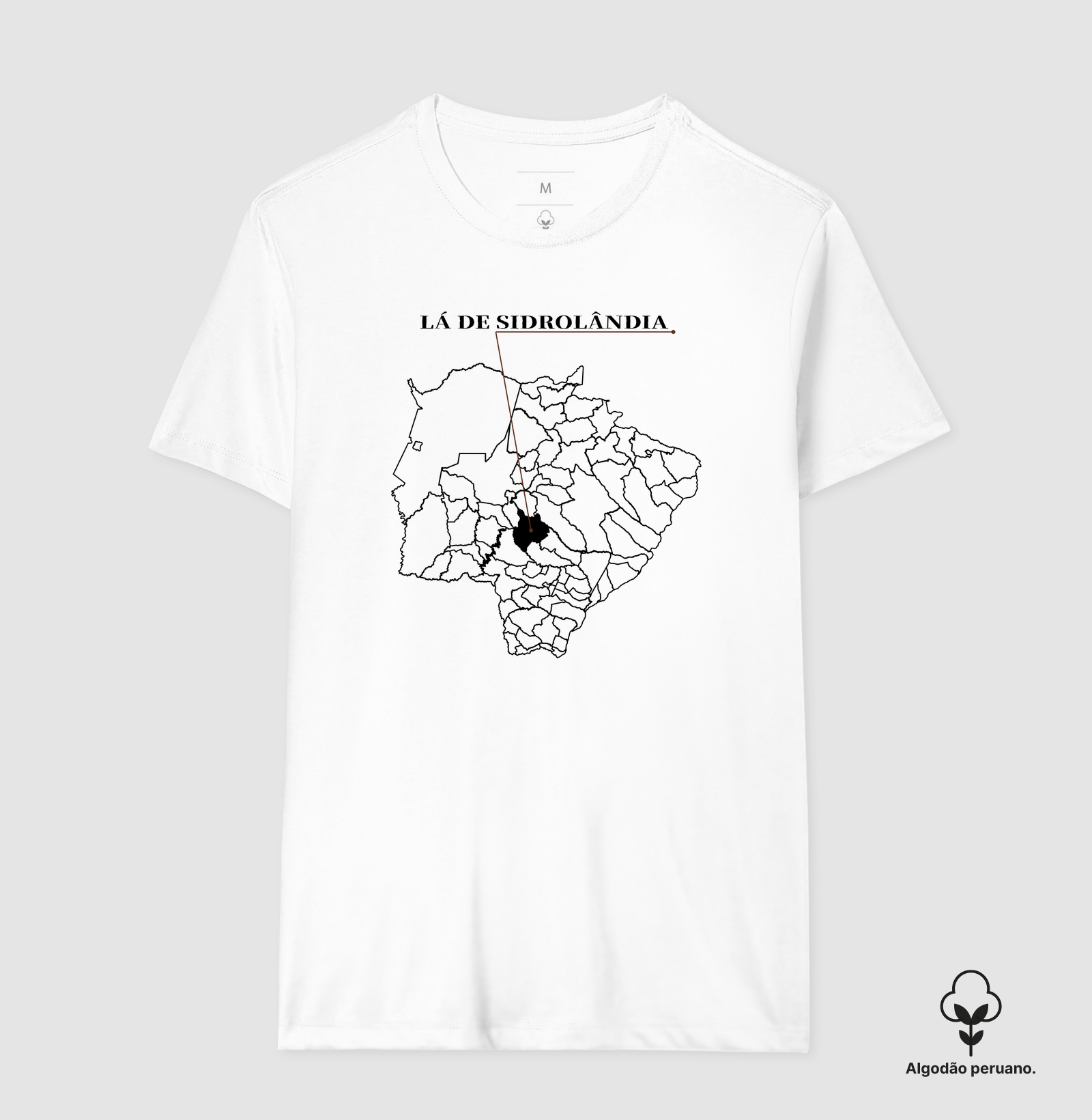 Sidrolândia | Origem MS - Imagem 2
