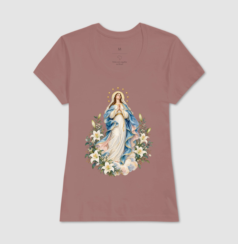 Nossa Senhora entre Flores e Estrelas - Imagem 9