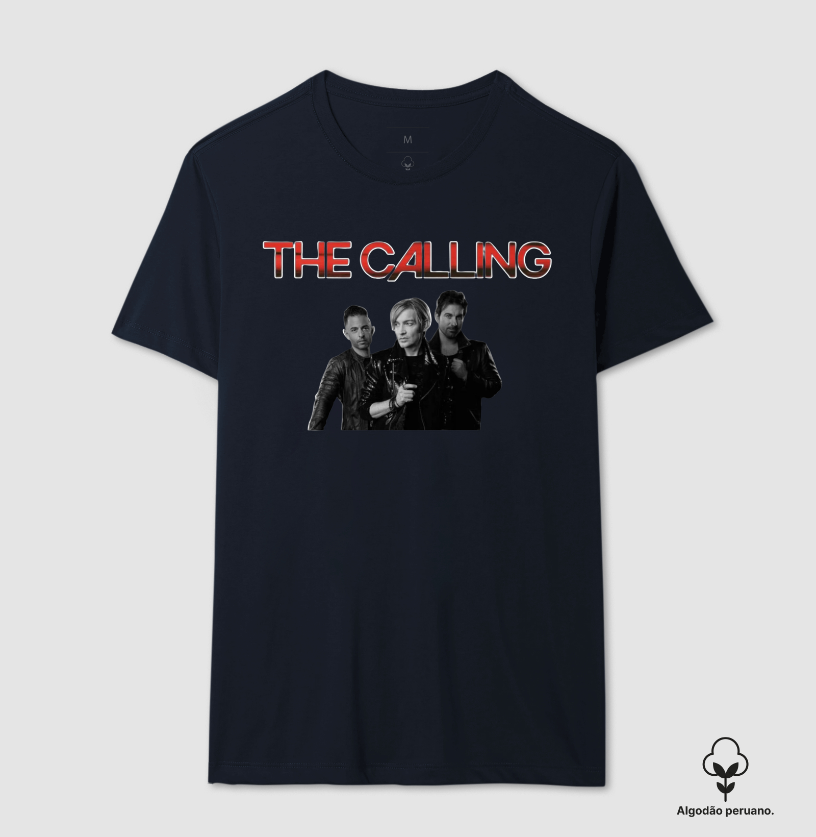 The Calling - Integrantes - Imagem 9