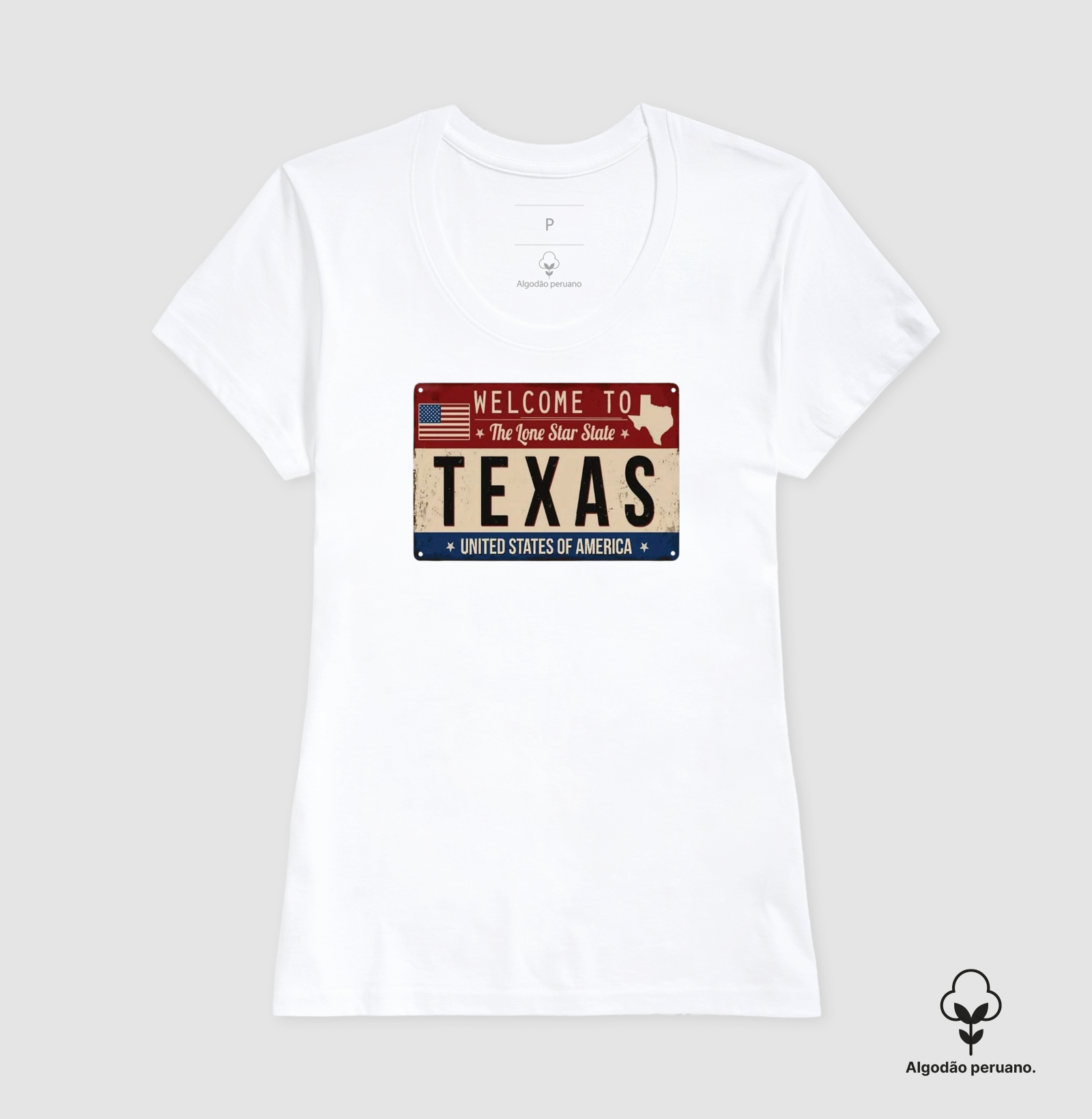 Texas (placa envelhecida) - Imagem 7