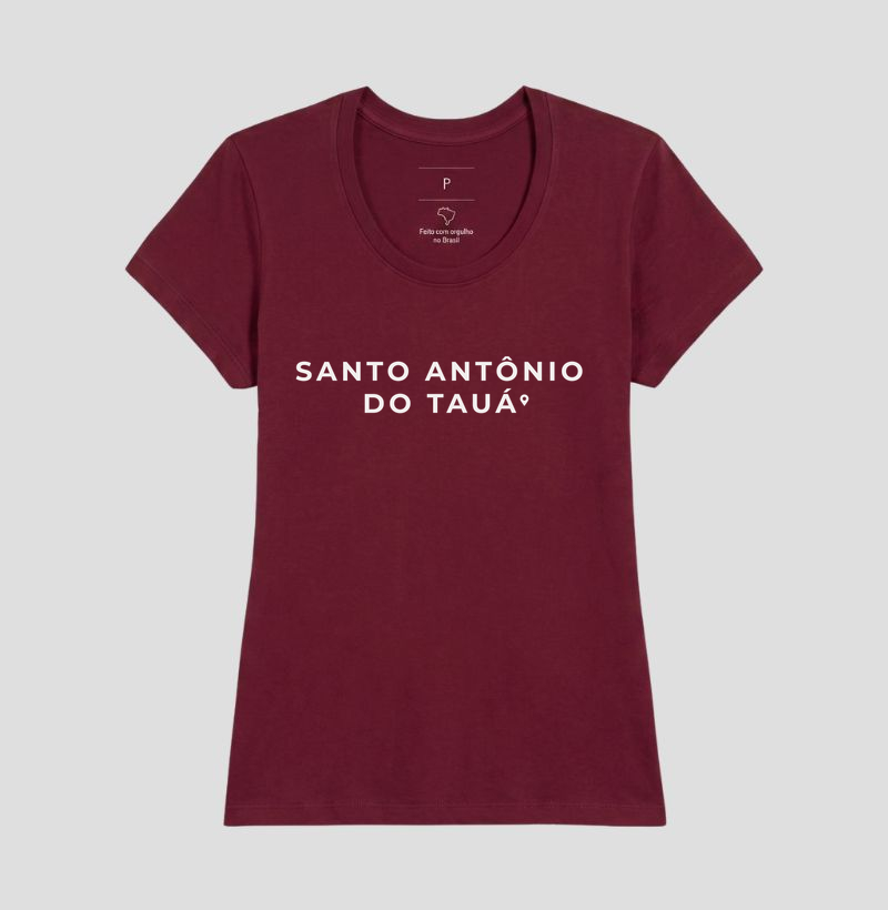 Santo Antônio do Tauá | Pin PA - Imagem 19