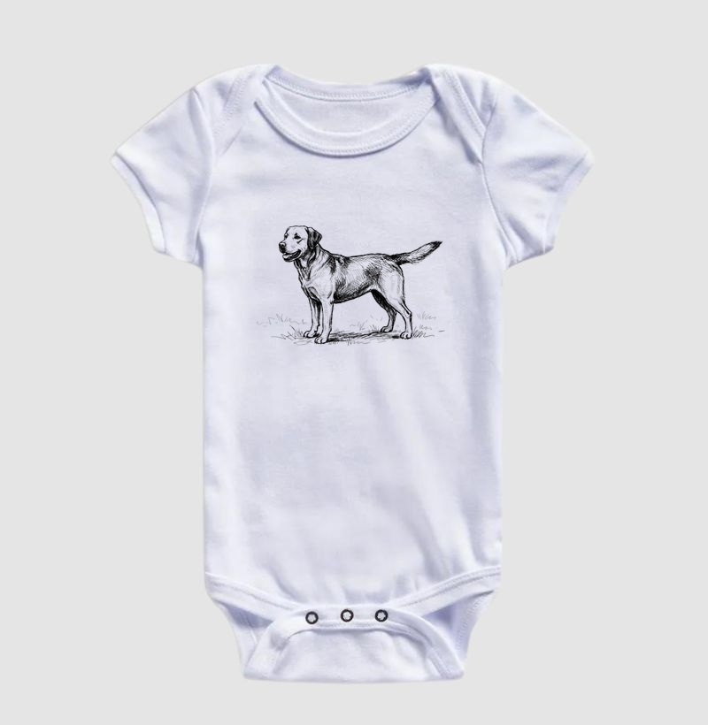 Labrador - Desenho - Imagem 2