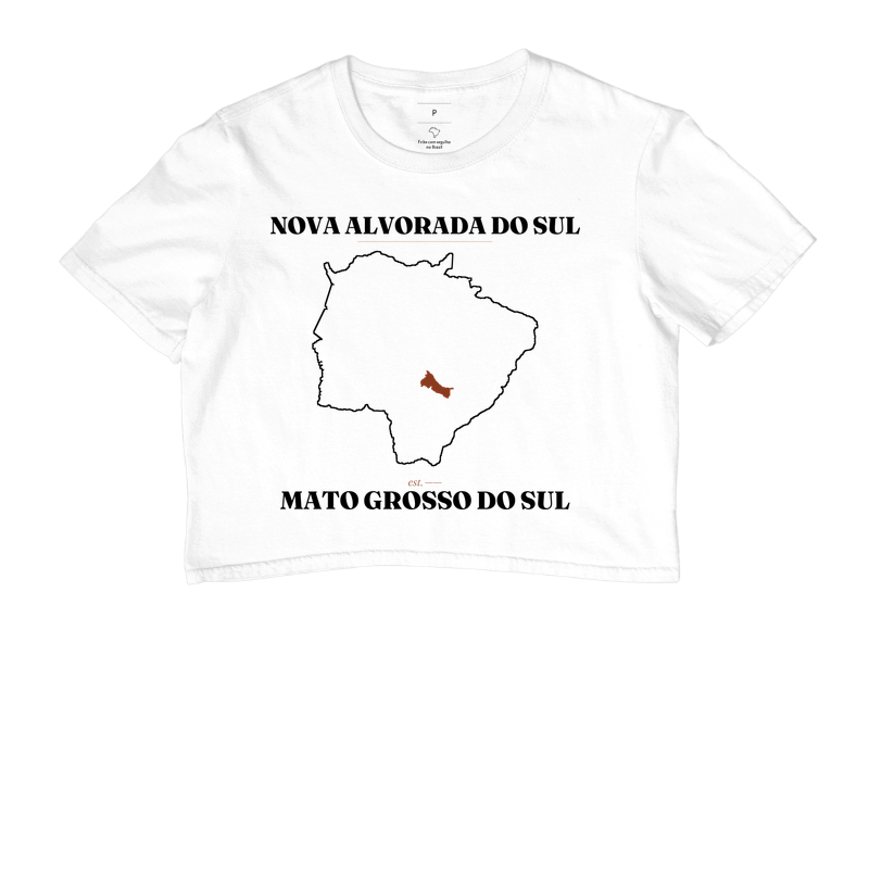 Nova Alvorada do Sul | Legado MS - Imagem 3