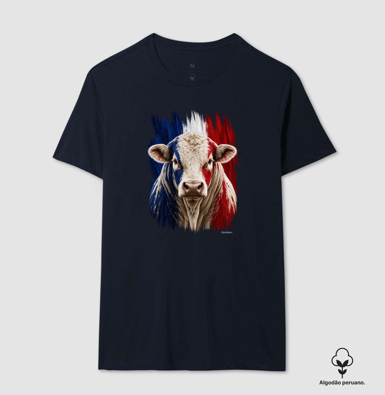 Charolês da França - Imagem 7
