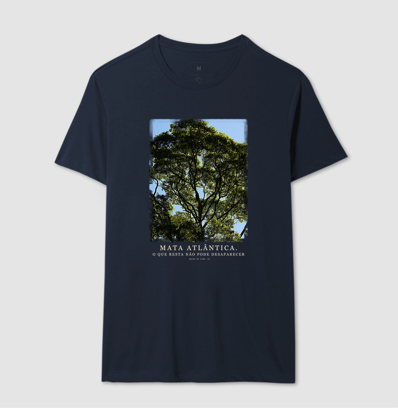 Mata Atlântica - Imagem 4