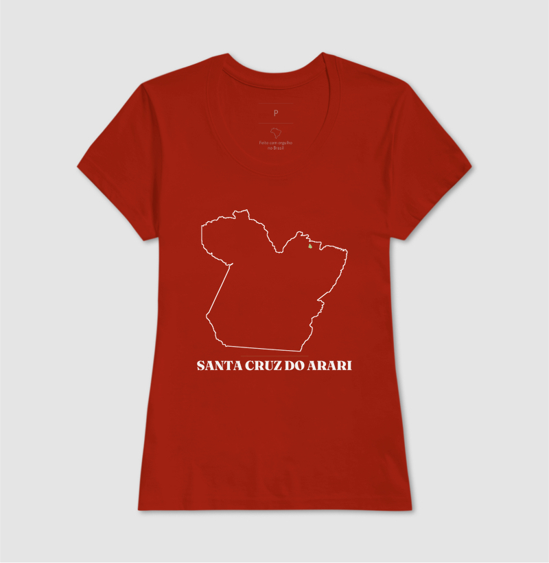 Santa Cruz do Arari | Traço PA - Imagem 11