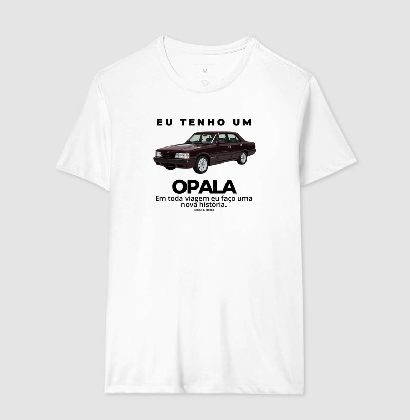 Eu tenho um Opala Diplomata vinho - Imagem 4