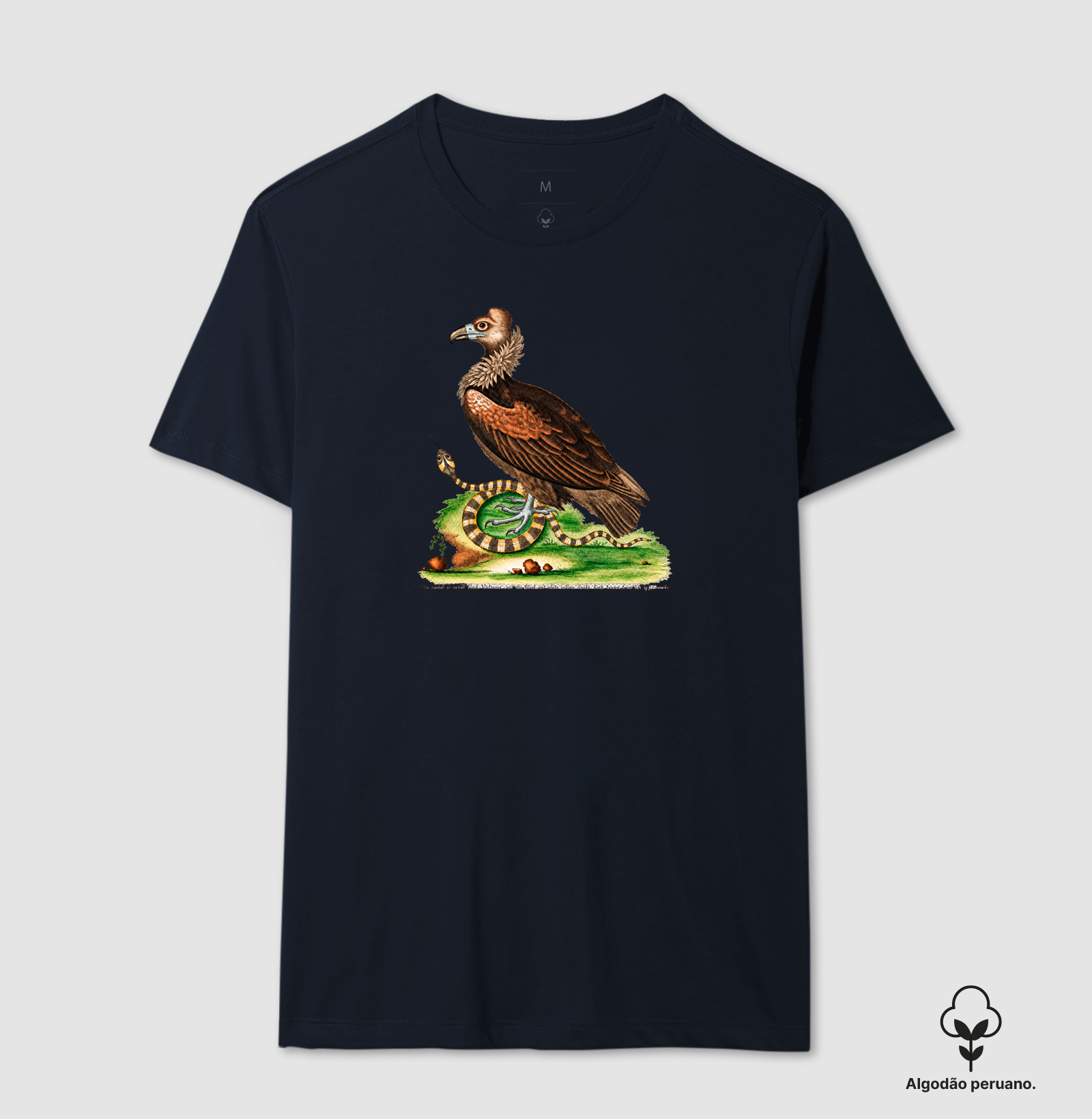 Camiseta Abutre e Serpente — História Natural do Século XVIII - Imagem 3