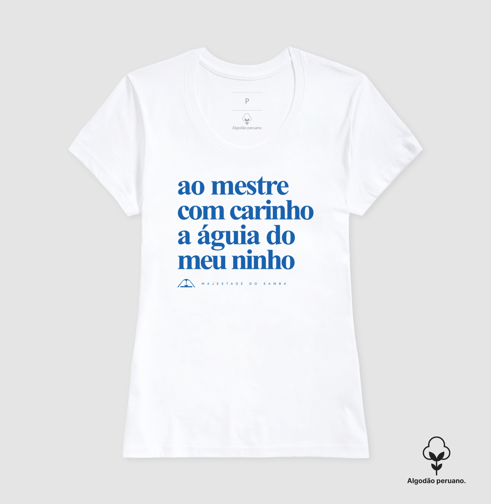Ao Mestre com carinho, a águia do meu ninho - Imagem 5