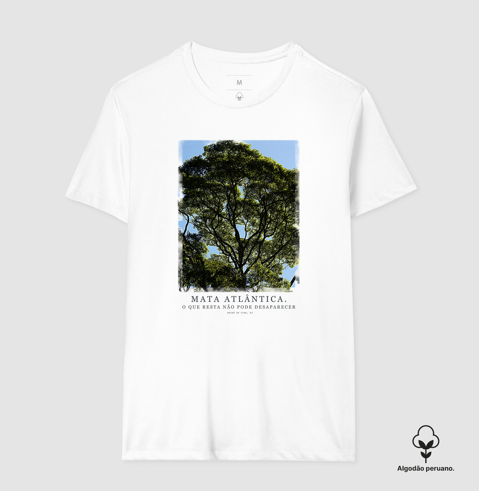 Mata Atlântica - Imagem 2