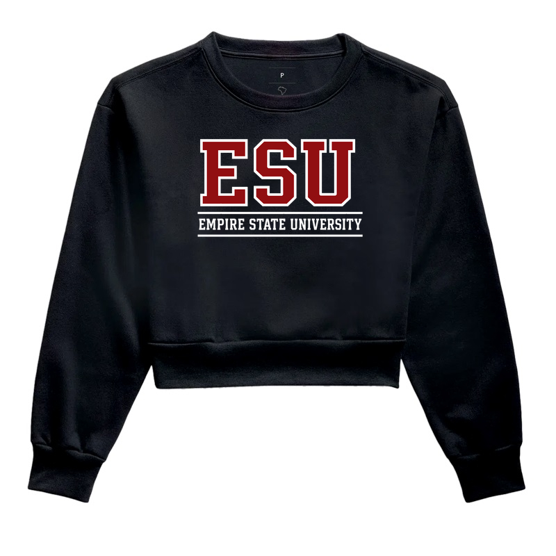 Empire State University - Imagem 2