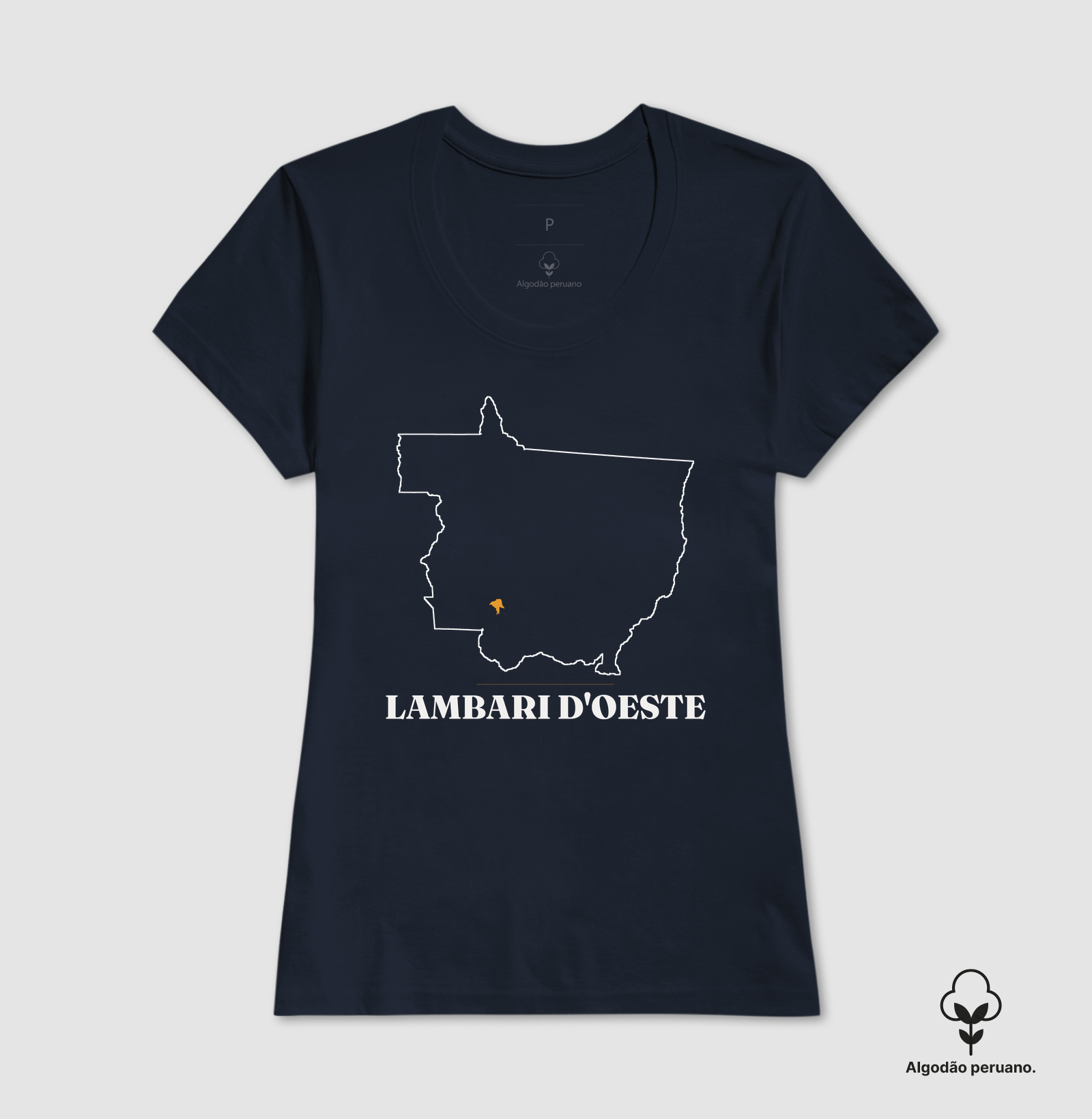 Lambari D'Oeste | Traço MT - Imagem 2