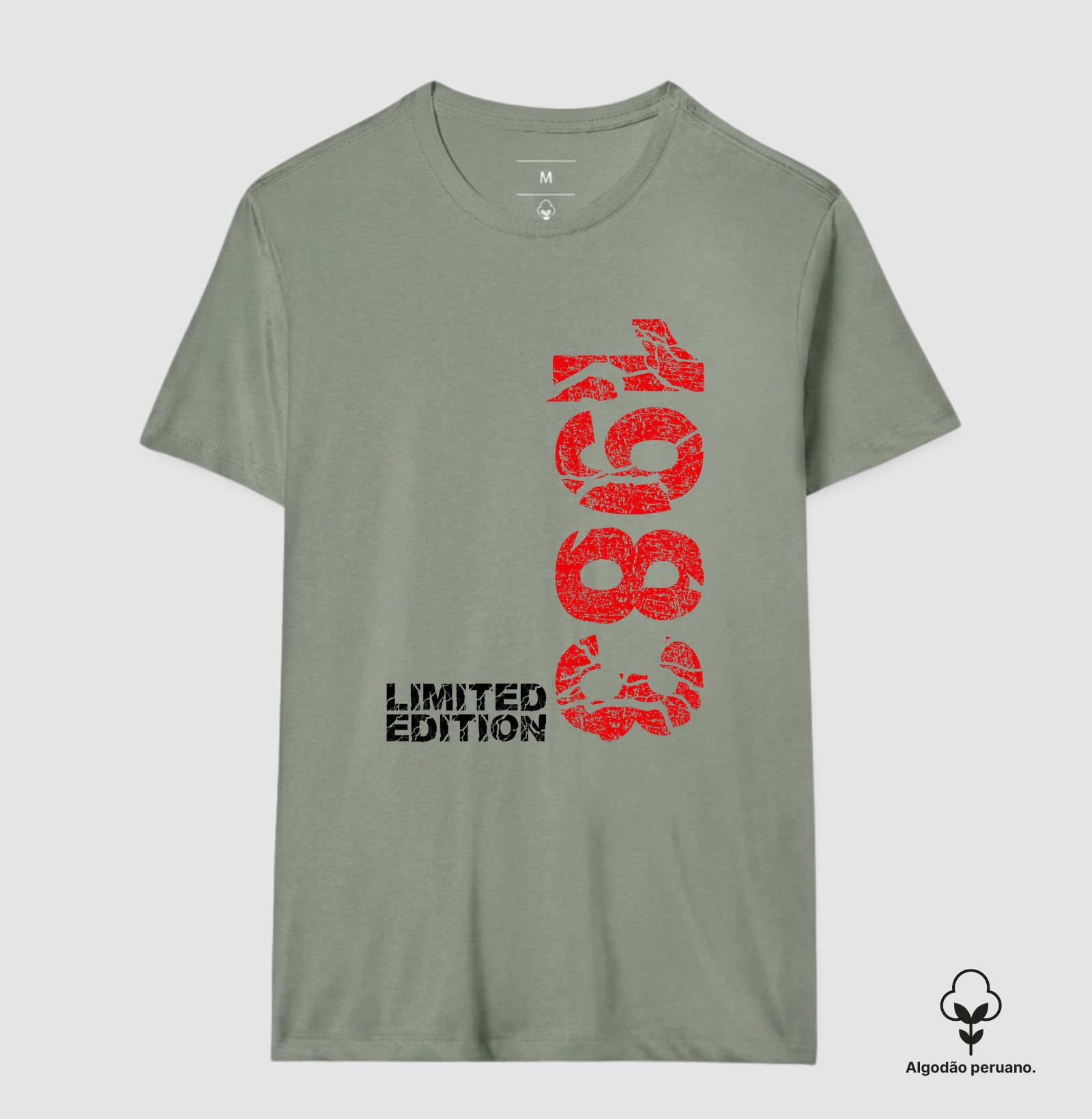 LMTD 1983 - Imagem 9