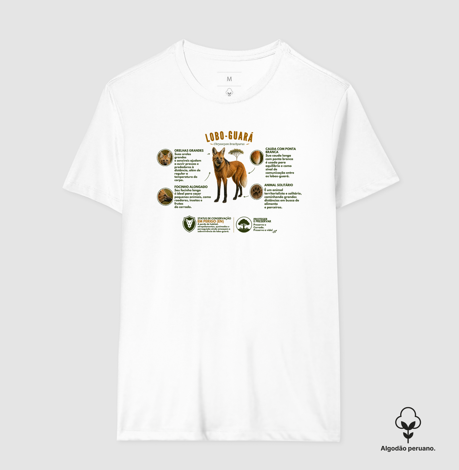 Camisa 6