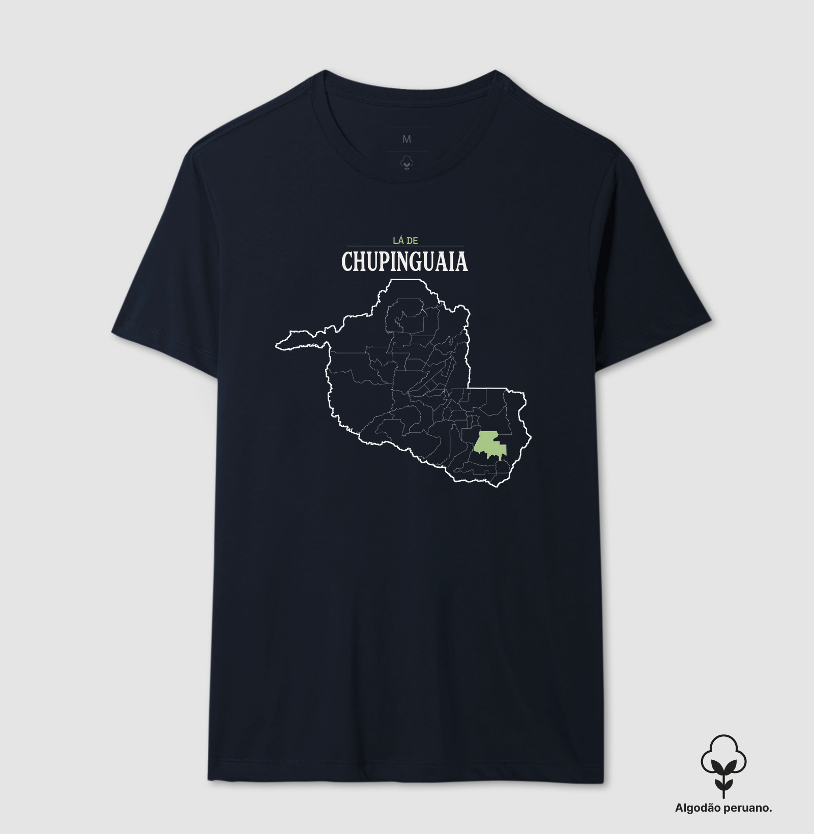 Chupinguaia | Território RO - Imagem 7