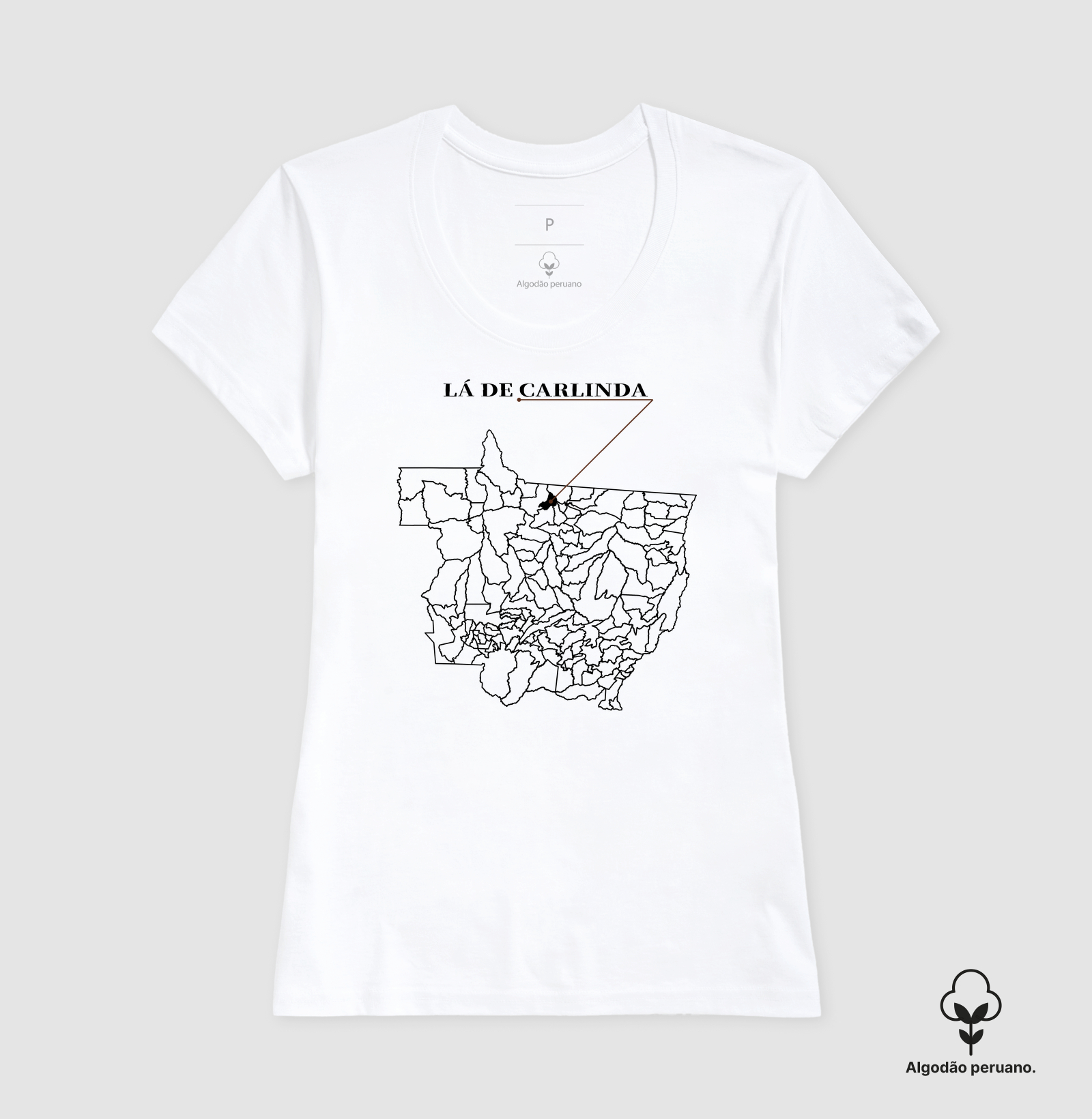 Carlinda | Origem MT - Imagem 5