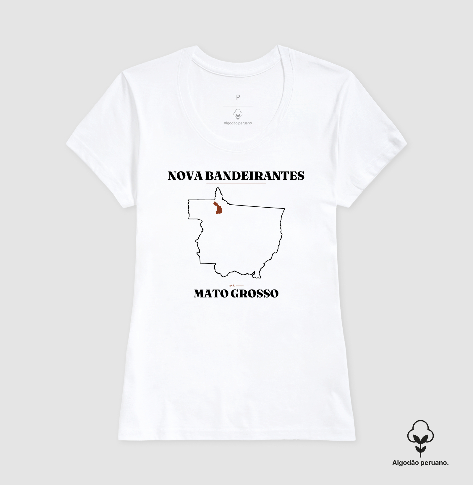 Nova Bandeirantes | Legado MT - Imagem 6