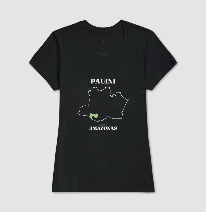 Pauini | Legado AM - Imagem 3