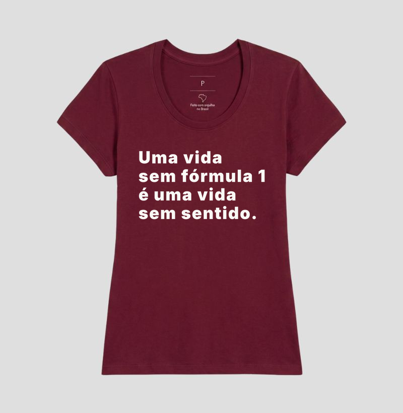 Vida sem fórmula 1 - Imagem 19