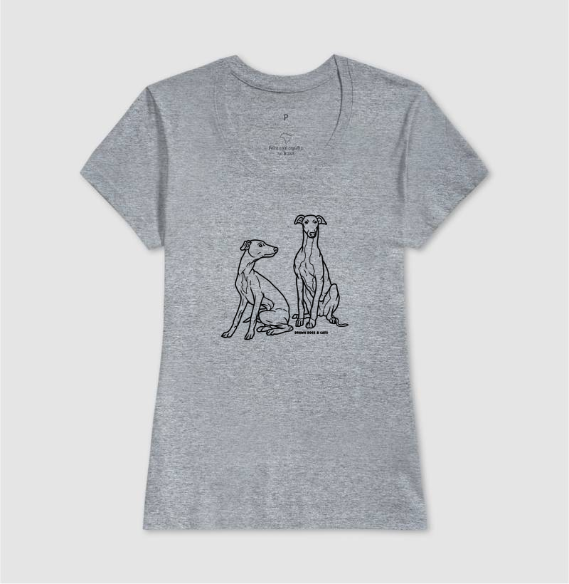 Galgo italiano - Imagem 5