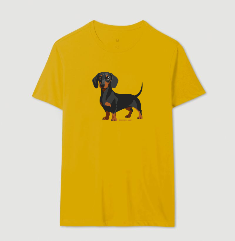 Dachshund - Imagem 6