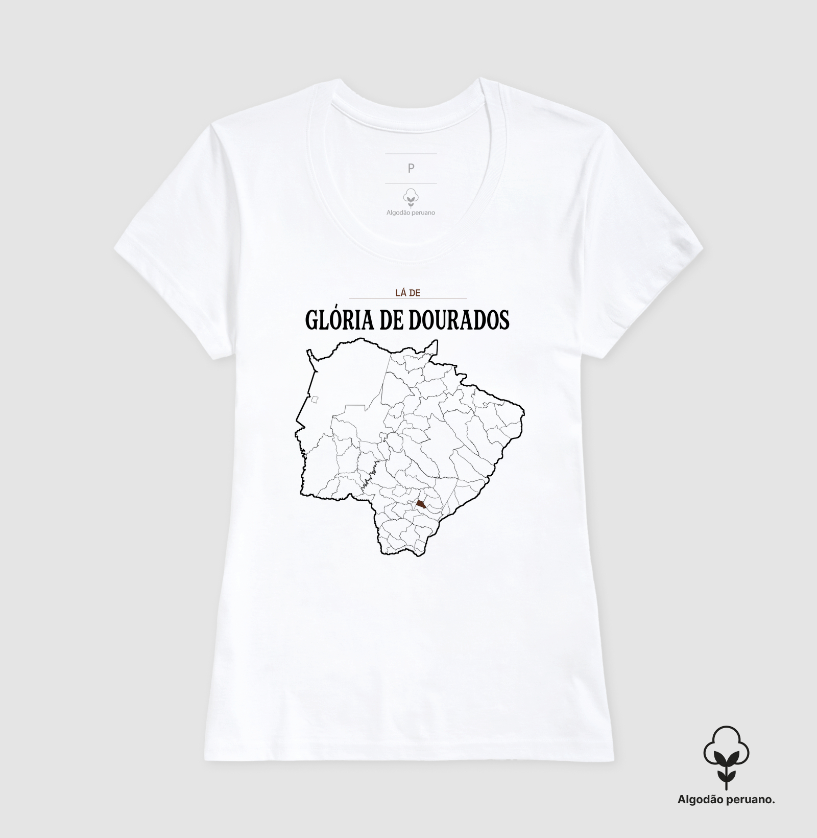 Glória de Dourados | Território MS - Imagem 3
